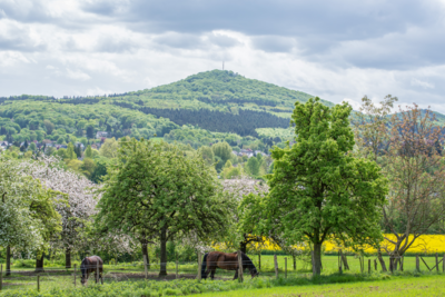 adobestock 83317365 thomas leonhardy