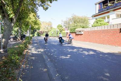 Der bestehende Rheinradweg wird von ca. 300.000 Radfahrenden pro Jahr genutzt Rheinradweg3BA FörderungRadweg