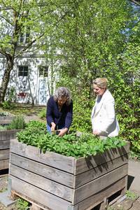 Zwei Frauen begutachten ein Hochbeet