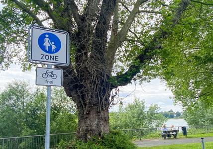 Schild Fußgängerzone und Fahrrad frei