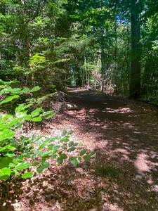 Das Siebengebirge bietet an Hitzetagen viele Möglichkeiten zum Abkühlen. © Stadt Königswinter/Pressestelle Waldweg im Siebengebirge