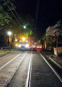 An der Rheinallee werden nachts die Bäume beschnitten