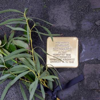 Der Stolperstein für Irmgard Stefanie Steinhardt an der Hauptstraße 380 © Stadt Königswinter Der Stolperstein für Irmgard Stefanie Steinhardt an der Hauptstraße 380