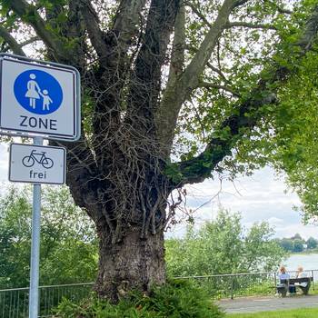 Schild Fußgängerzone und Fahrrad frei