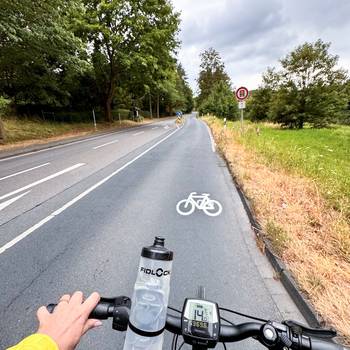 Die neue Fahrradpiktogrammkette auf der L268 talwärts zwischen Heisterbacherrott und Oberdollendorf erhöht die Sichtbarkeit des Radverkehrs.