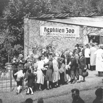 Besucherandrang im Reptilienzoo „Vivarium Königswinter“, 1930er Jahre