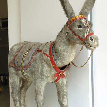 Esel im Siebengebirgsmuseum