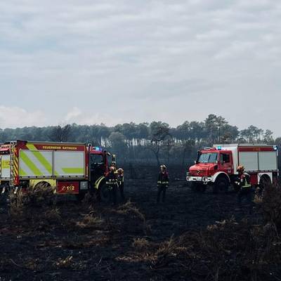 Im Waldbrandgebiet