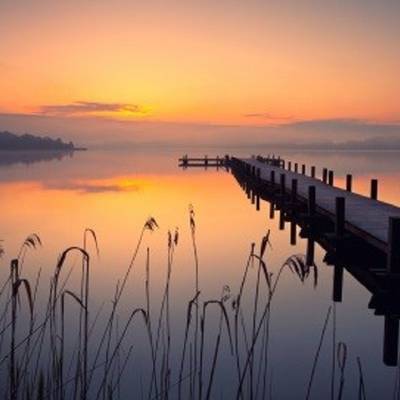 Blick durch Schilfpflanzen an einem See bei Sonnenuntergang