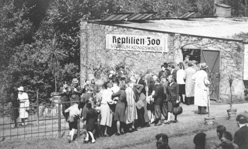 Besucherandrang im Reptilienzoo „Vivarium Königswinter“, 1930er Jahre