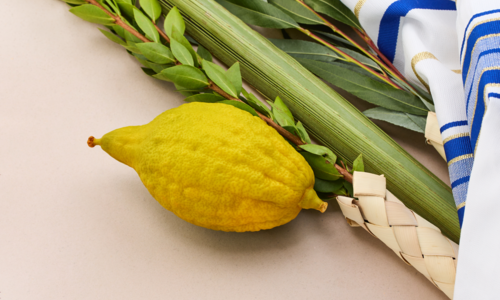 Traditionelle Sukkot-Symbole