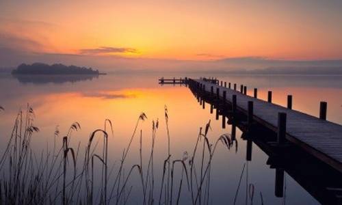 Blick durch Schilfpflanzen an einem See bei Sonnenuntergang