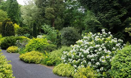 Arboretum im Park Härle