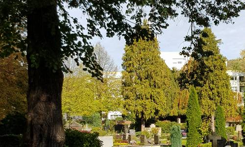 Blick über den Friedhof Am Palastweiher, Altstadt von Königswinter