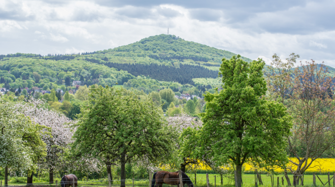 adobestock 83317365 thomas leonhardy