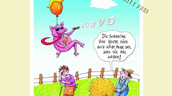 Ausstellungsplakat plakatcartoonleichtigkeitschwein