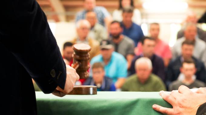 Versteigerung in einem Raum voller Menschen