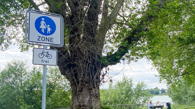 Schild Fußgängerzone und Fahrrad frei
