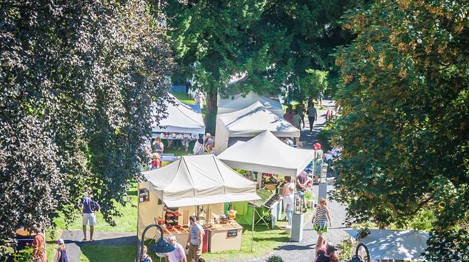 Blick von oben auf den Markt