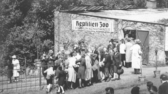 Besucherandrang im Reptilienzoo „Vivarium Königswinter“, 1930er Jahre