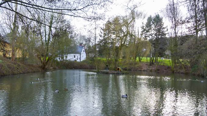 Nikolausweiher in Heisterbacherrott