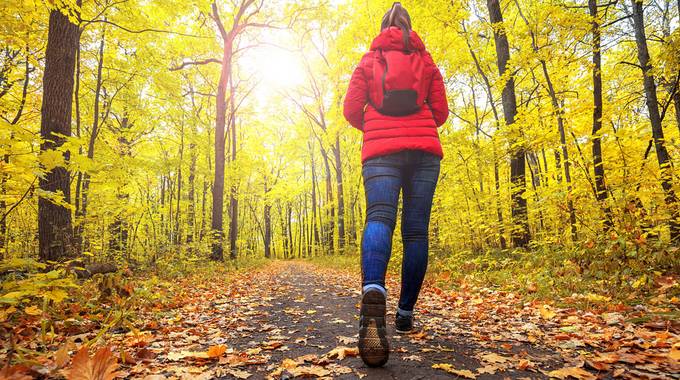 Rückansicht einer Frau mit roter Jacke und Rucksack, die durch einen herbstlichen Wald läuft