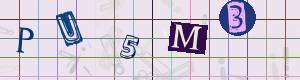 Captcha-Code - Es besteht die Möglichkeit, sich den Captcha-Code vorlesen zu lassen, klicken sie dazu auf den Button mit dem Titel 'Liest den Captcha-Code vor(Audioausgabe)'